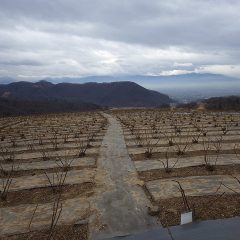 農場は今にも降り出しそうな重たい雲が立ち込めています