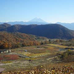 冬のモザイク模様