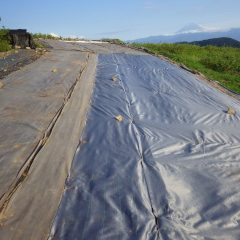 これで種蒔きまでひと安心