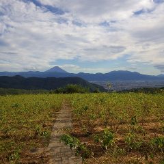 秋空に富士山