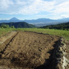 畑の種蒔き準備が完了しました