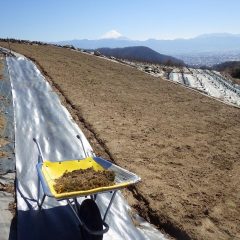 遠くで富士山も見守ってくれています