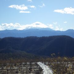 農場から見える富士山頂は雲に覆われていました