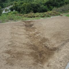 傾斜の急な畑なので雨水で表土が流されないよう中央に排水溝を作りました