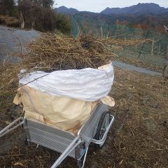枯れ草片付けも大変な作業です
