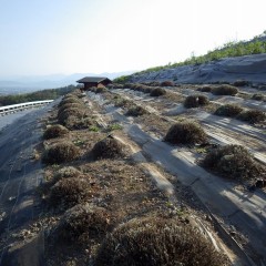 サッパリして夏を迎えてもらいます