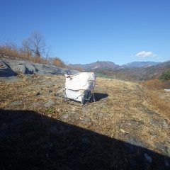 この畑のバカ片付け作業終了