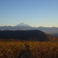 日暮れには雲も晴れ富士山が夕日に照らされました