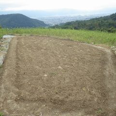 こちらの畑も無事に台風をやり過ごす事が出来ました