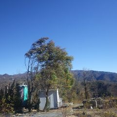 立って居ることが出来ないほどの風が吹き荒れています