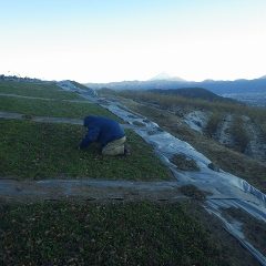 日が陰ると気温は一気に下がり凍えるような寒さの中で作業しています