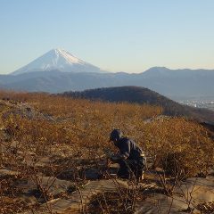 日が傾くと寒さは増々厳しくなってくる中で夕暮れまで作業は続きます