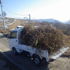 軽トラックに山積みにして廃棄場まで運びます