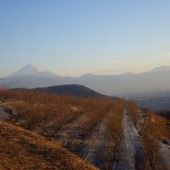夕方、夕日が富士山を照らします