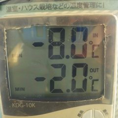 事務局前のビニールハウスの中は－8℃まで下がっていました