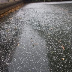 農場の凍った水槽の上に粉雪が積もり始めました