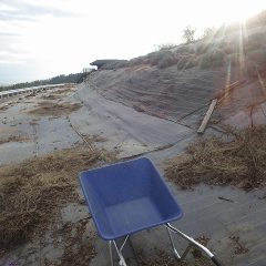 除草した草の片付け作業