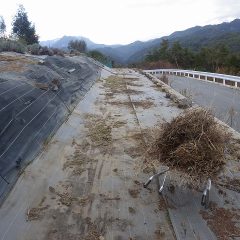 夕暮れ前に何とか作業終了