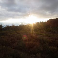 太陽が西の山に沈んで行きました