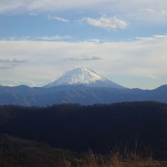 寒風が吹きつける農場から見える富士山は今日も雪煙を舞い上げていました