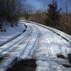 ローズ畑に登る農道は日陰になっている場所にまだ雪が残っています