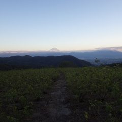作業が終わる頃、夕日が富士山を照らしていました