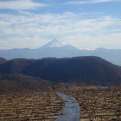 農場の雪も昼前にはすっかり消えてしまいました