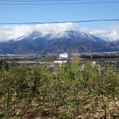 今朝は事務局の直ぐ前にある山の山頂まで白く染まりました