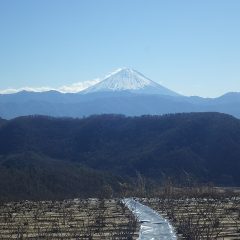 1月最後の日