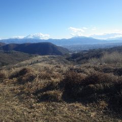 何とか伐採終了