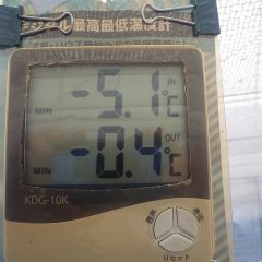 ビニールハウスの中は－5℃まで下がりトンネルの中は－0.4℃までしか下がりませんでした