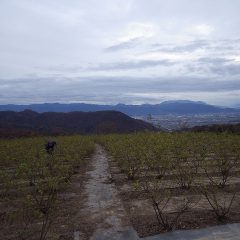 甲府の街に灯りが燈っても通路の清掃作業は続けられていました