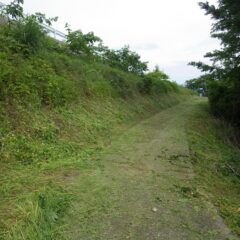 刈っても刈っても草だらけ