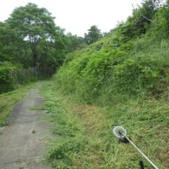 1回ではとても刈り切れません