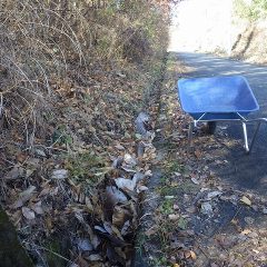 側溝に詰まった落ち葉が道路まであふれている場所もありました