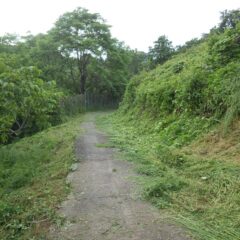 ようやく農道の半分近くまで草を刈りました