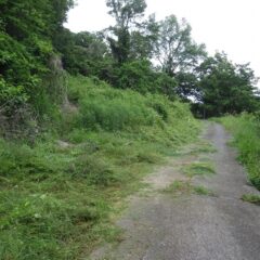 ここは古いブドウ棚のコンクリート支柱や鉄線が草に隠れていて苦労しました