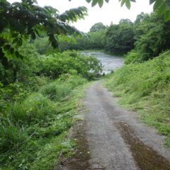 夕暮れ前にラベンダー畑までの草刈り作業終了