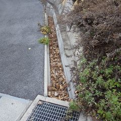 排水桝の入り口に落ち葉が詰まって雨水が流れず道路にあふれ出すこともあります