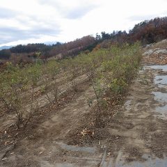 綺麗に清掃された通路