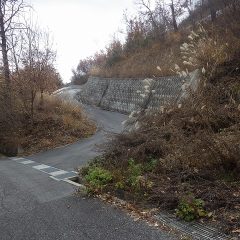 農場に続く農道脇の草刈り作業