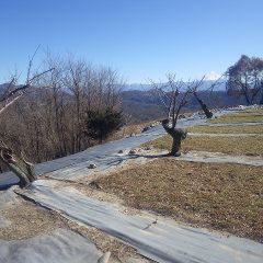 片付け作業が終わって綺麗になりました
