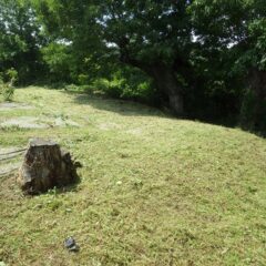 ローズ畑と林の間を草刈りしました