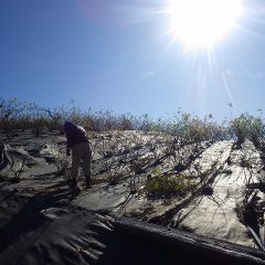 天気は良いものの風が冷たい！