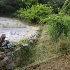 ラベンダーの収穫作業前に何とか畑の周囲だけは草刈り完了
