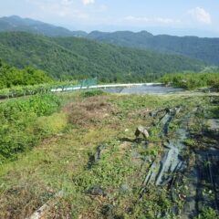この面の草刈り作業終了です