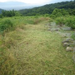 徐々にローズ畑の輪郭が見えて来ました