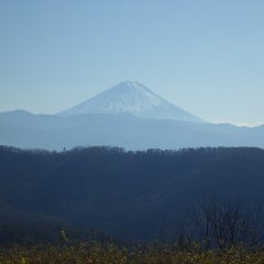 寒中お見舞い申し上げます