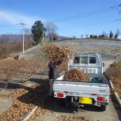 剪定した枝は軽トラックに積み込みます