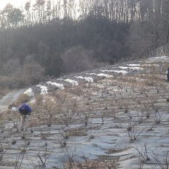 少しずつ日が伸びているのを実感しながら作業しています